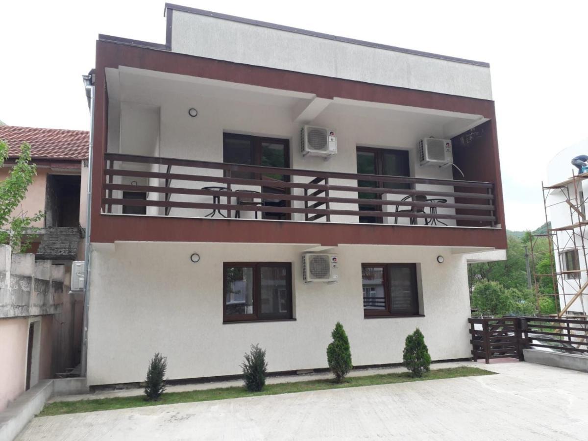 Vila Ovidiu Baile Herculane Exterior photo